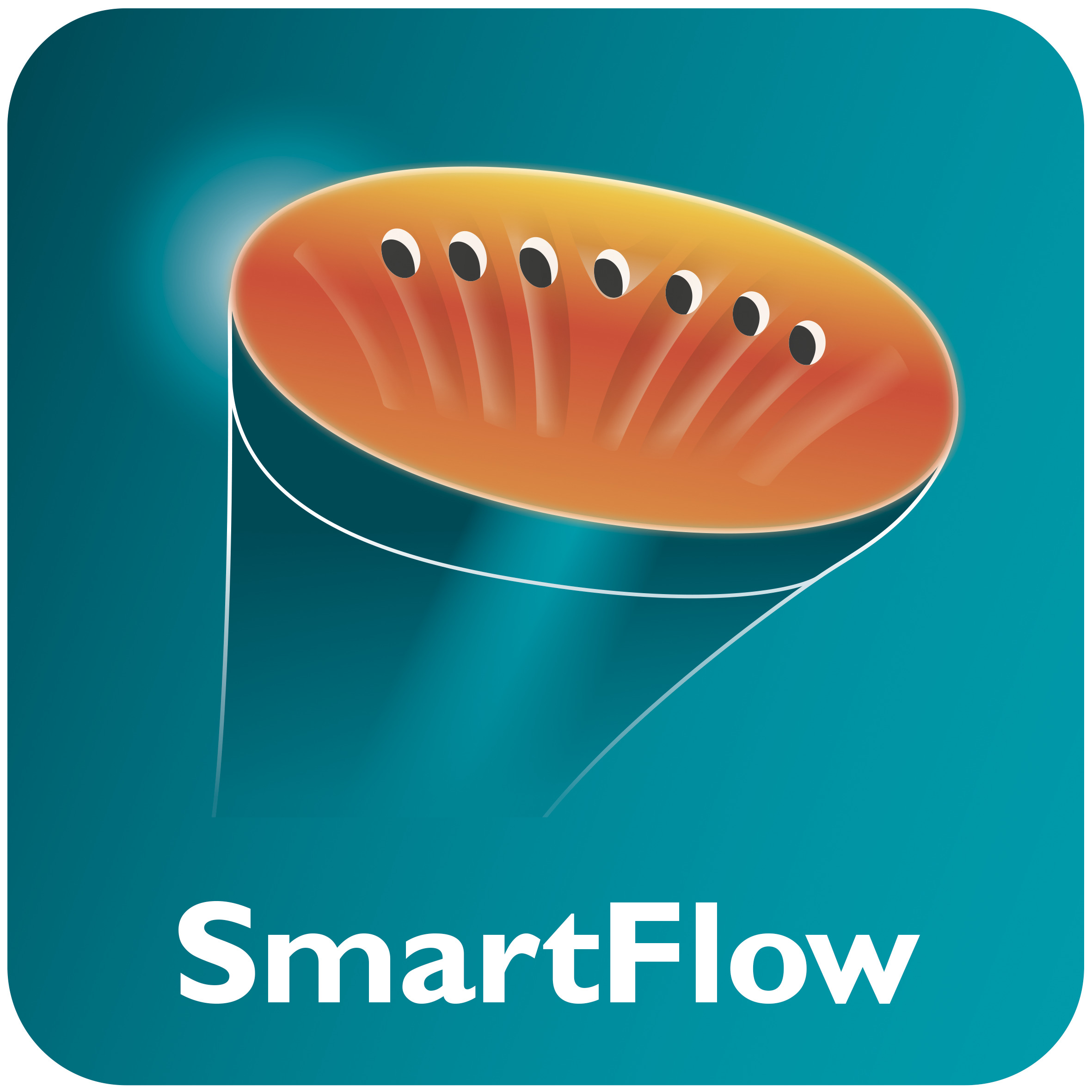 SmartFlow heated steam plate for great results