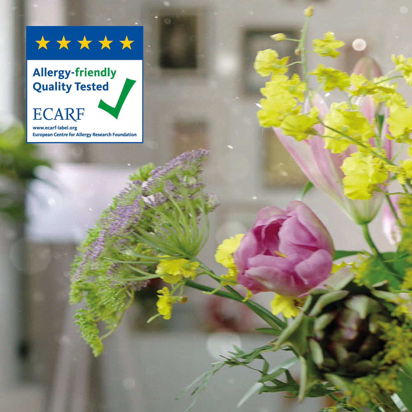 Подтверждено: подходит для аллергиков