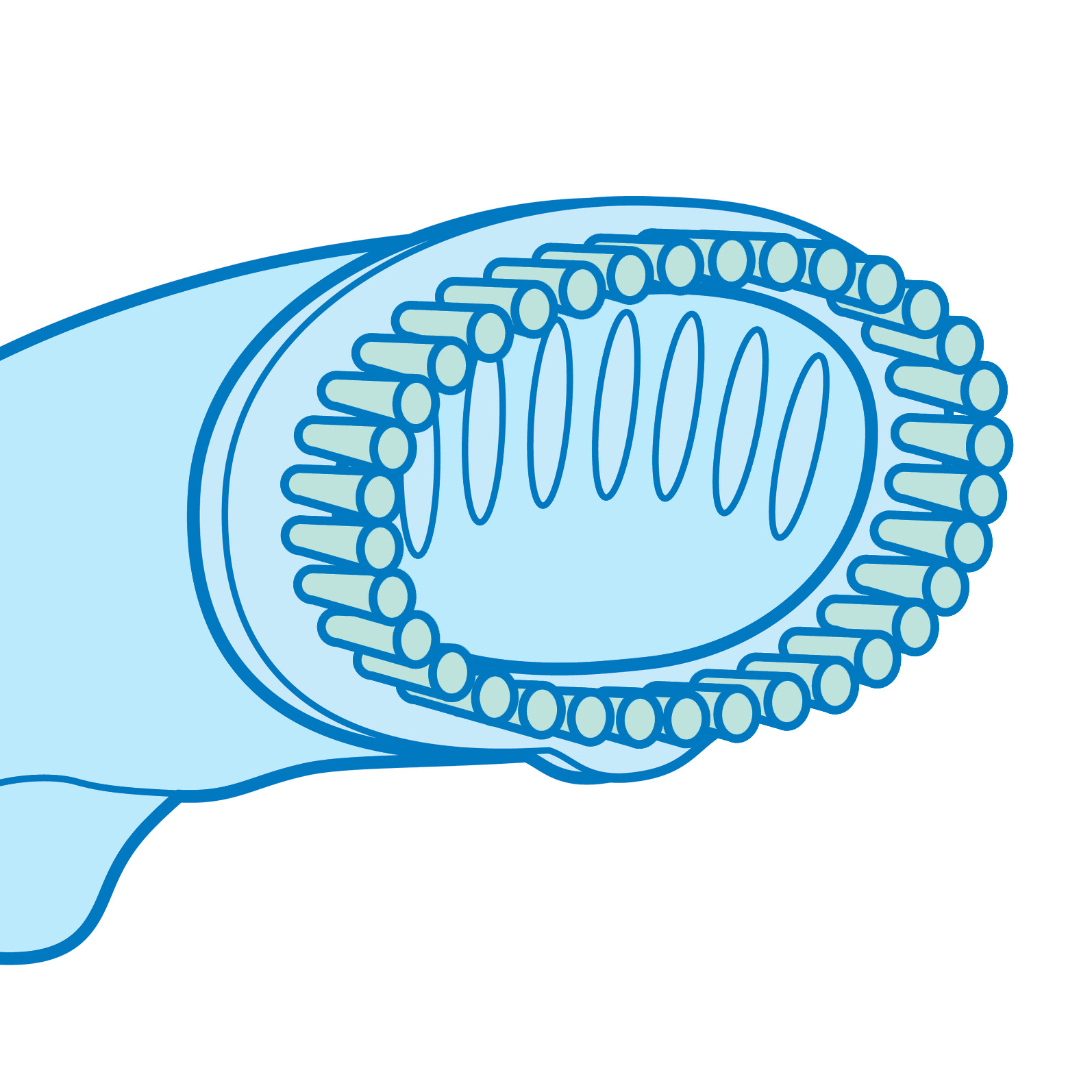 ملحق الفرشاة لنتائج حريرية