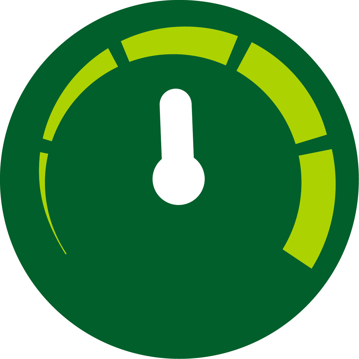 Manually adjustable time and temperature control