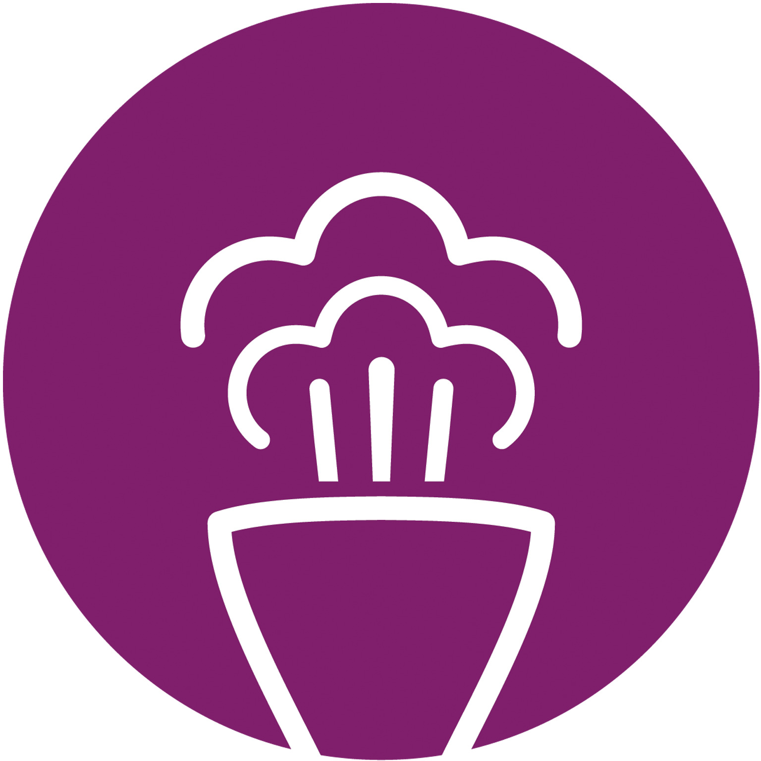 Vapor cont&iacute;nuo autom&aacute;tico para uma f&aacute;cil remo&ccedil;&atilde;o de vincos