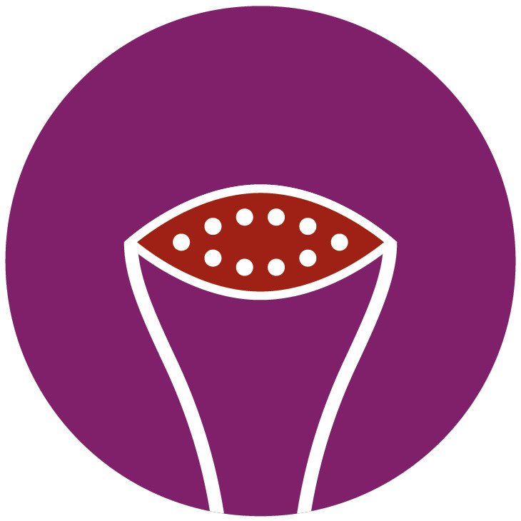 Placa aquecida SmartFlow para melhores resultados de vapor*