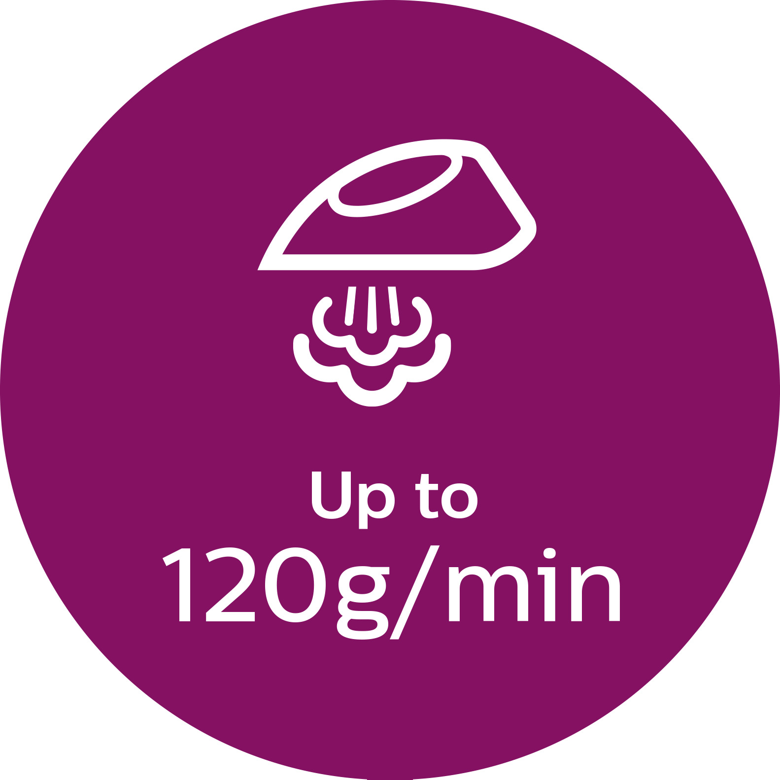 Continuous steam up to 120&nbsp;g/min