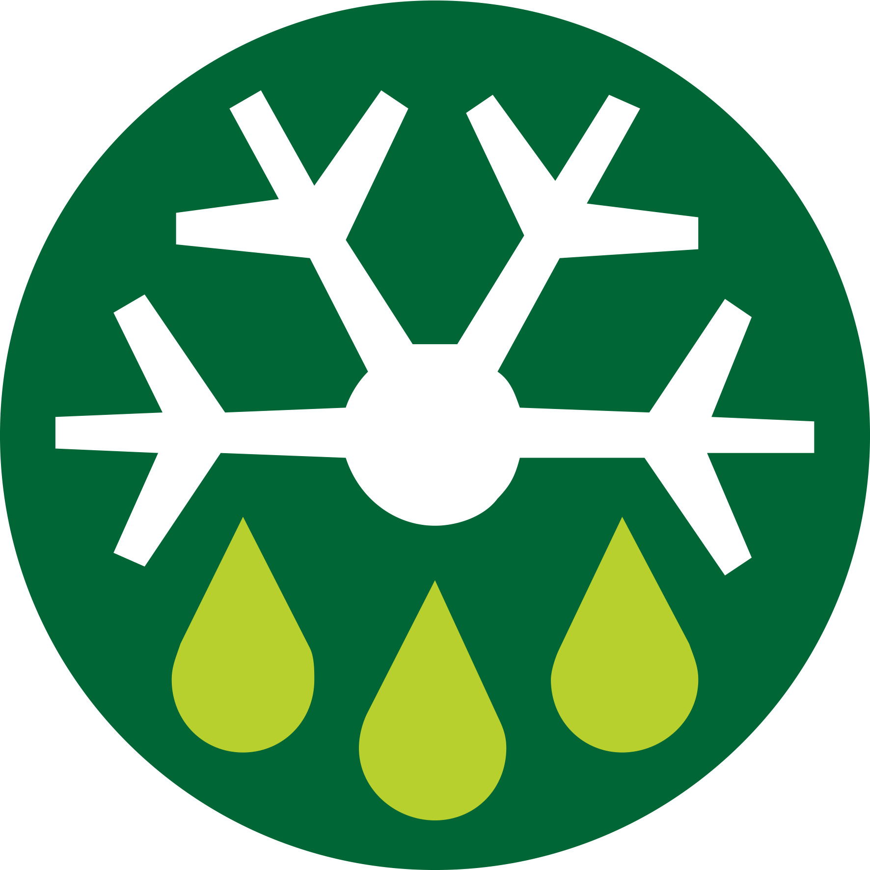 In nur einem Schritt Brot auftauen oder erneut aufbacken