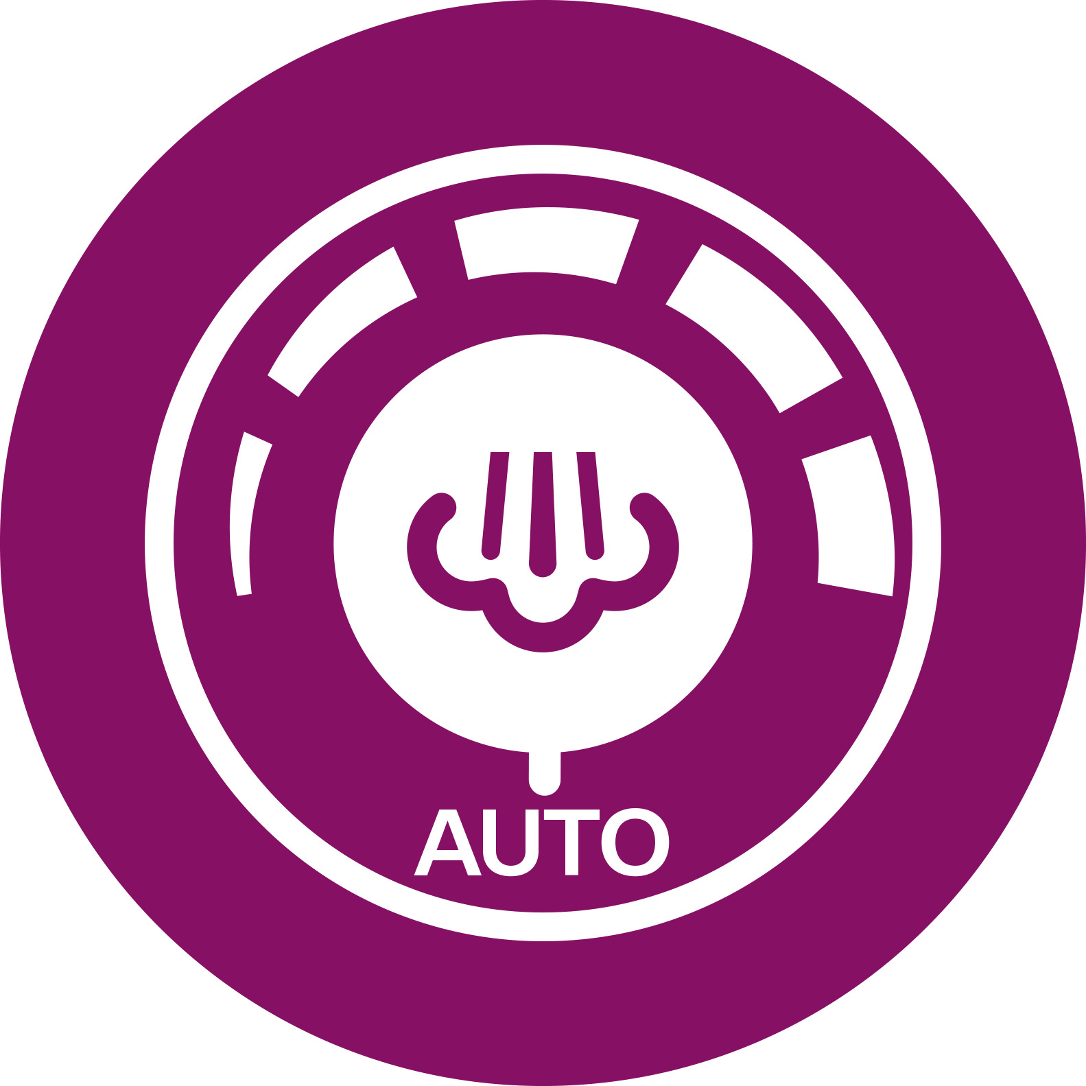 Auto Steam Control for the right steam for each garment