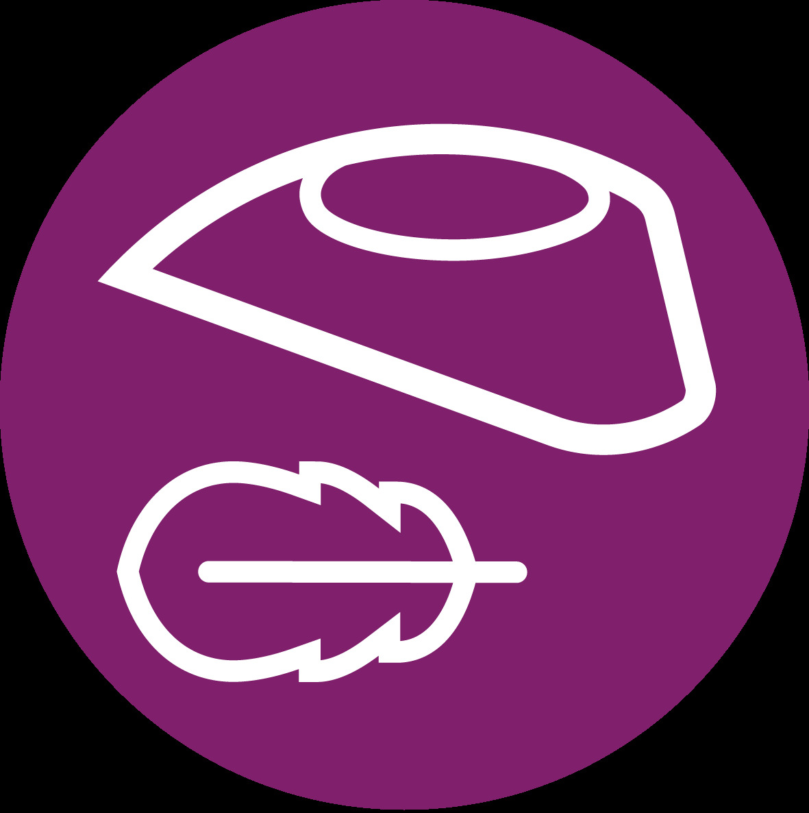 مكواة بوزن خفيف وإمكانية حمل مريح