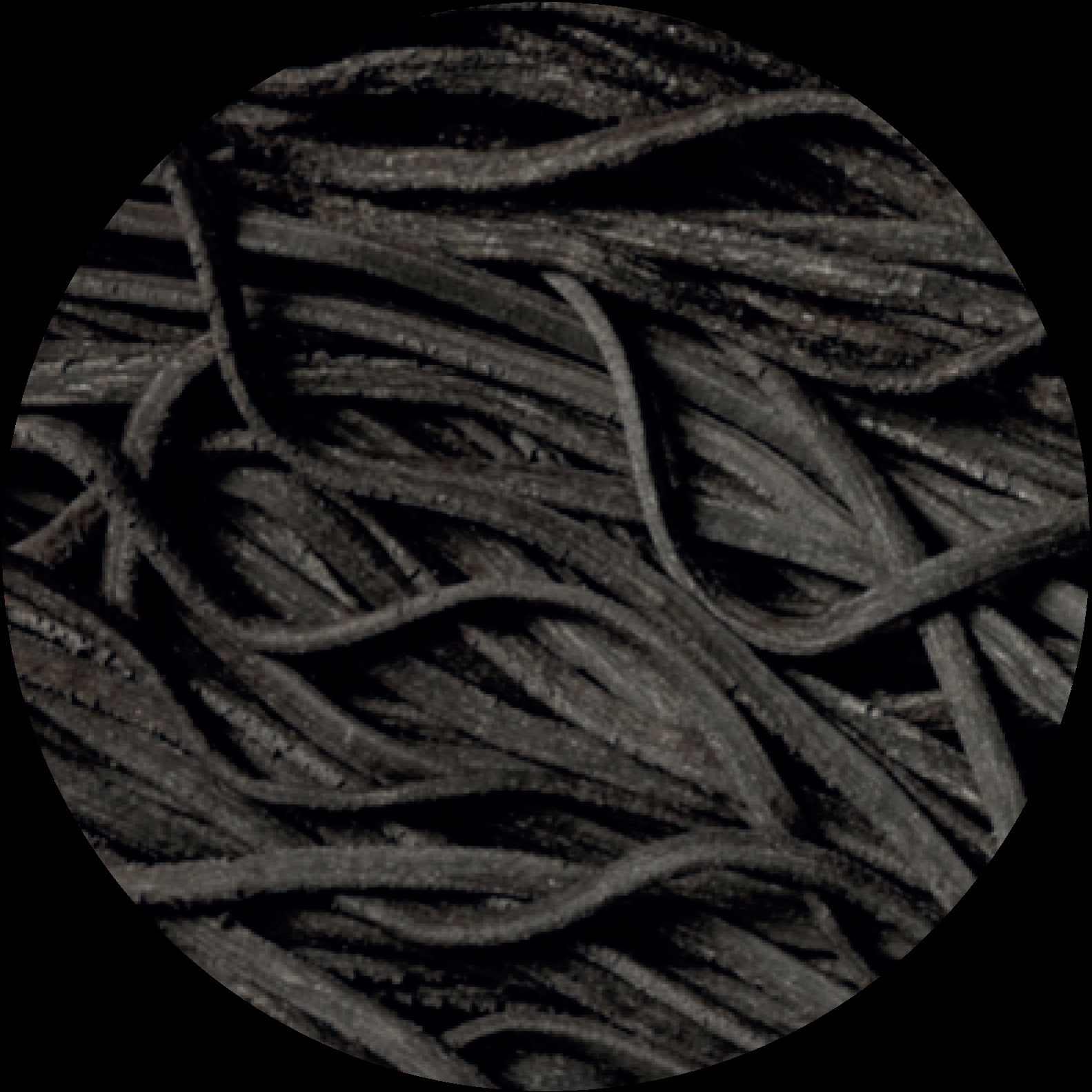 Experiment with Gourmet pasta dishes for your family and guests