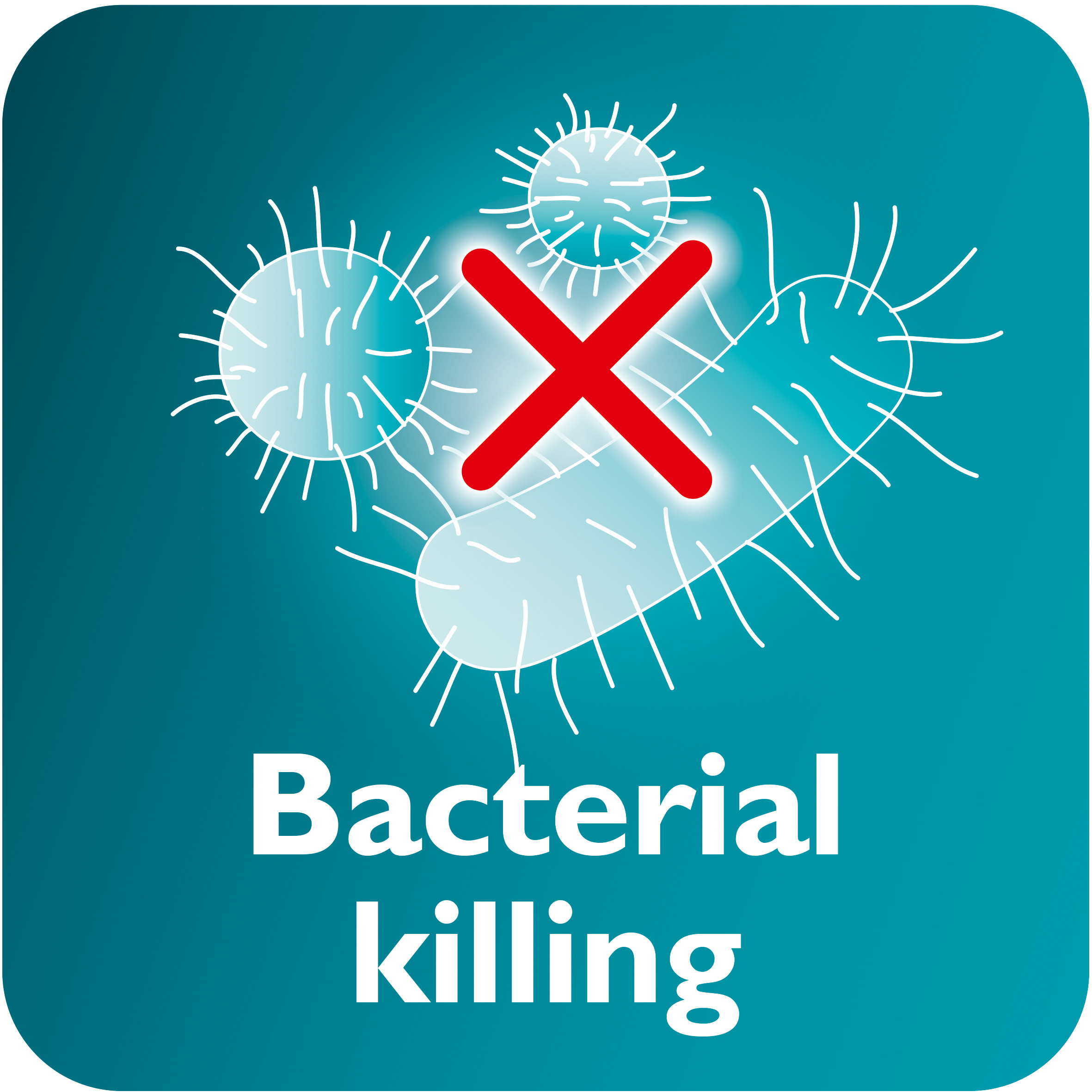 Steam kills up to 99.9% of bacteria*