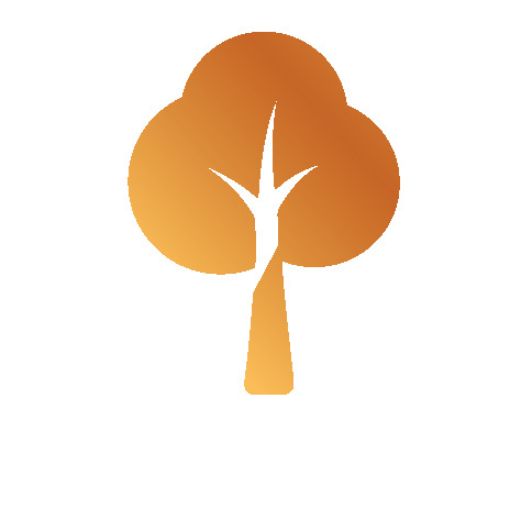 Aumento de la cantidad de pl&aacute;sticos reciclados